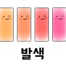염색이나해
