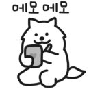 개만세 유치원(대형견) 이미지