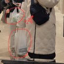 경보사슴 | ☃️삿포로 남매여행✈️ 4일차 비에이투어 후기1 (나홀로나무.크리스마스트리, 탁신관 및 자작나무숲길...