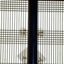 편안한가 이미지