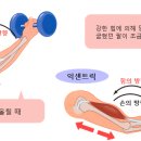 투바디짐 이미지