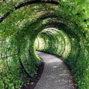 서석면행정복지센터 이미지