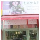 카페호야# 네이버블로그