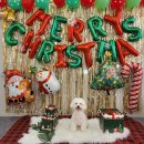 공릉초등학교 이미지