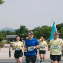 비바 이미지