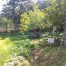 서당골약수터 이미지