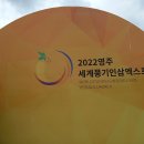 2022영주세계풍기인삼엑스포 이모저모(2022.9.30-10.23) 이미지