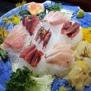 미주참치 이미지