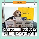 수원 펫페어 펫&amp;캣쇼 박람회 페노비스 방문 후기