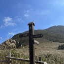 제일사슴농장 이미지