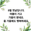 나는 행복한 사람인가? 이미지