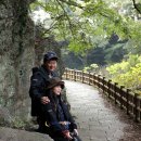 창일상사 | [제주도 신혼여행] 탐라 그늘집에서 드라마 추노까지 제주의 역사 화순곶자왈 안덕계곡