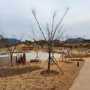 대가야생활촌 이미지