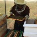 공감 사회적협동조합 이미지