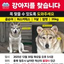 곰순이네 - 보령시 해수욕장9길 2-40 | 곰순이네