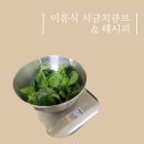 이유식 시금치큐브 시금치 손질 방법 + 시금치 중기이유식 후기이유식 레시피 + 식재료 궁합