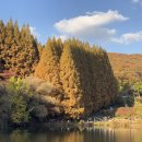 이마트24 도림금빛 | [공지] 용인 한국외대 글로벌캠퍼스 명수당 가을 단풍명소 나들이 가볼만한 곳