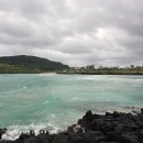 제주를 다녀왔네요~ 이미지