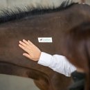 유-헬스케어 이미지