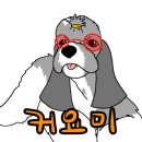 개들랜드 이미지