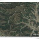 신지지 이미지
