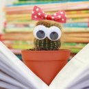 은하칼라 이미지