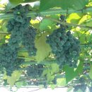 농기계공작실 이미지