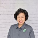 디딤돌 이미지