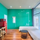 오션 캣 이미지