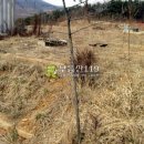 동남농장4 이미지