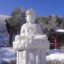 산의뿌리