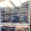 라임스킨앤바디