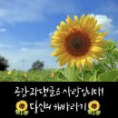 소원민박 이미지