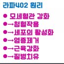 라파보청기 | [라파402] 후기