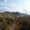 옥천매표소 이미지