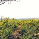 위미2리 이미지