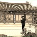 바다와소나무 이미지