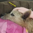 케이지메디칼 이미지