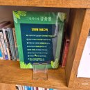 용인 그림책카페 감꽃별 후기｜탁 트인 자연뷰가 매력적인 힐링 카페