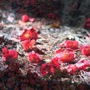 금남면사무소 이미지