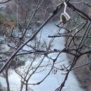구  암 이미지