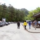 평창 월정사 북대 고운암 목조미륵보살좌상 이미지
