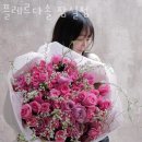 플레르다솔 이미지