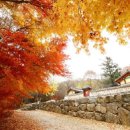 "가을 타는 것 같아"... 가을에 가면 더 좋은 서울 근교 가을 여행지 BEST6 이미지
