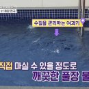 야자수 풀빌라 이미지