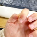 품걸별마당 | [2026/1月] 1월 네번째 일기 :: (26년 1월 26일 - 26년 2월 1일)