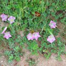 송호해수욕장2화장실 이미지