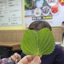 강화풍물시장 밴댕이회무침 철이네집 샘터젓갈 추천까지