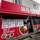 돼지게티 이미지