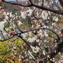 산수재민박 이미지